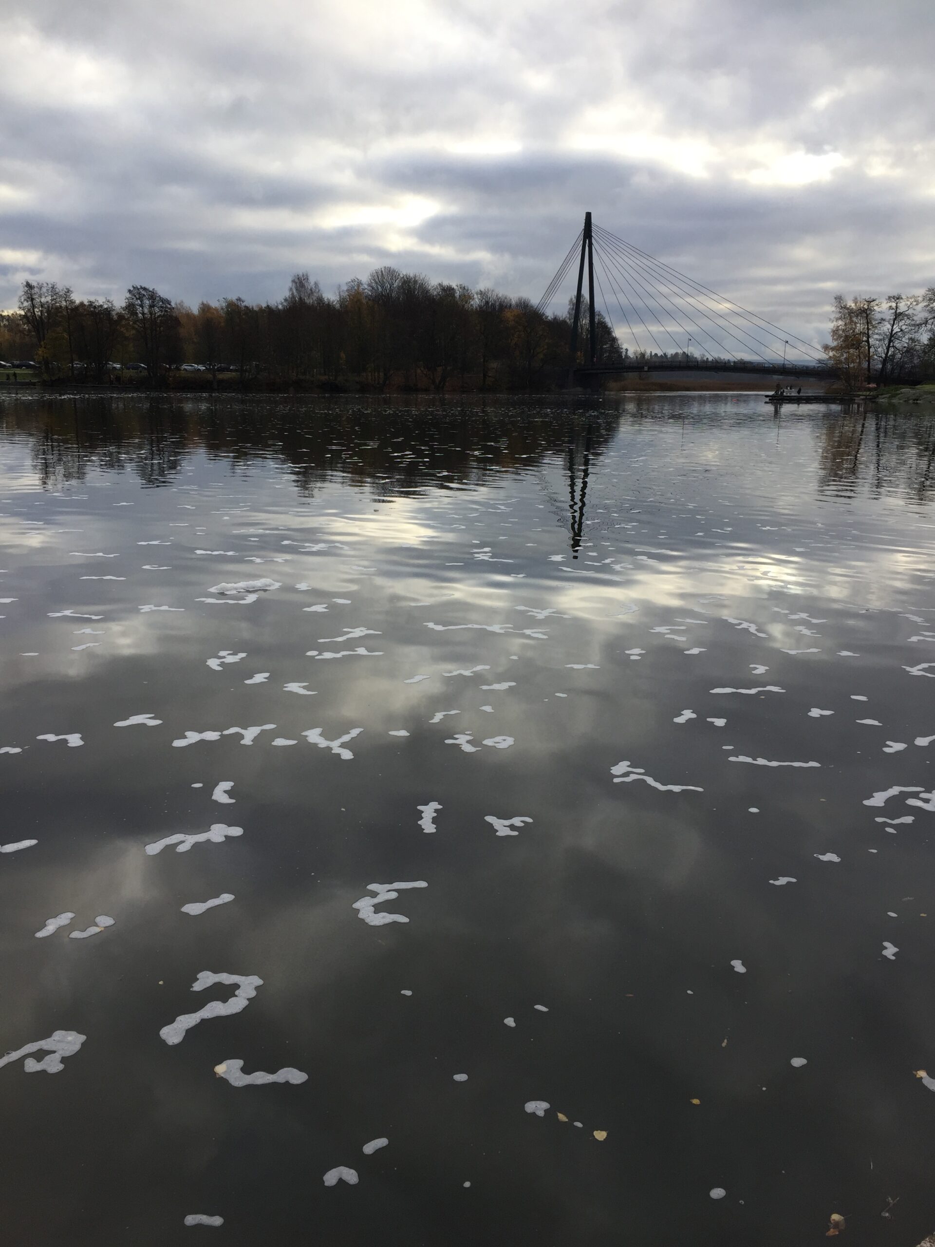 Vettä ja kuolemaa Vantaanjoen suistolla