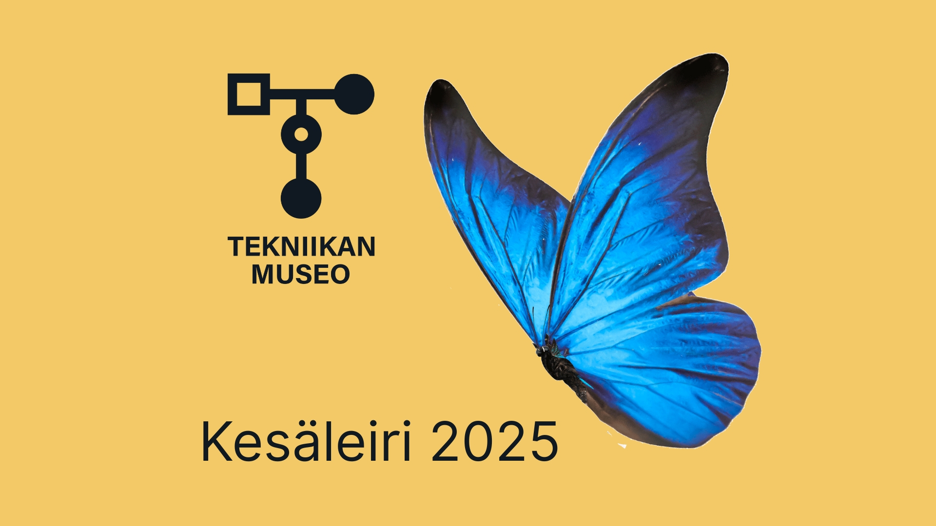 Kesaleiri 2025